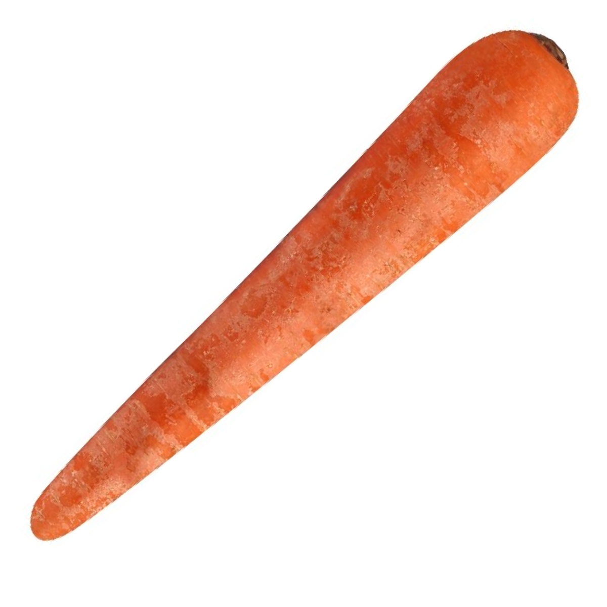 Carrot