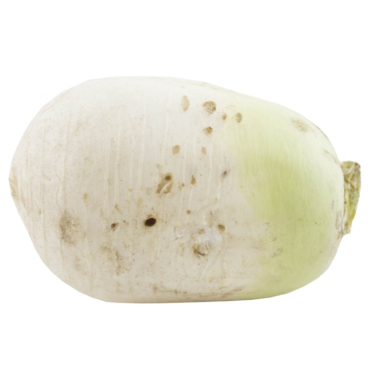 Daikon