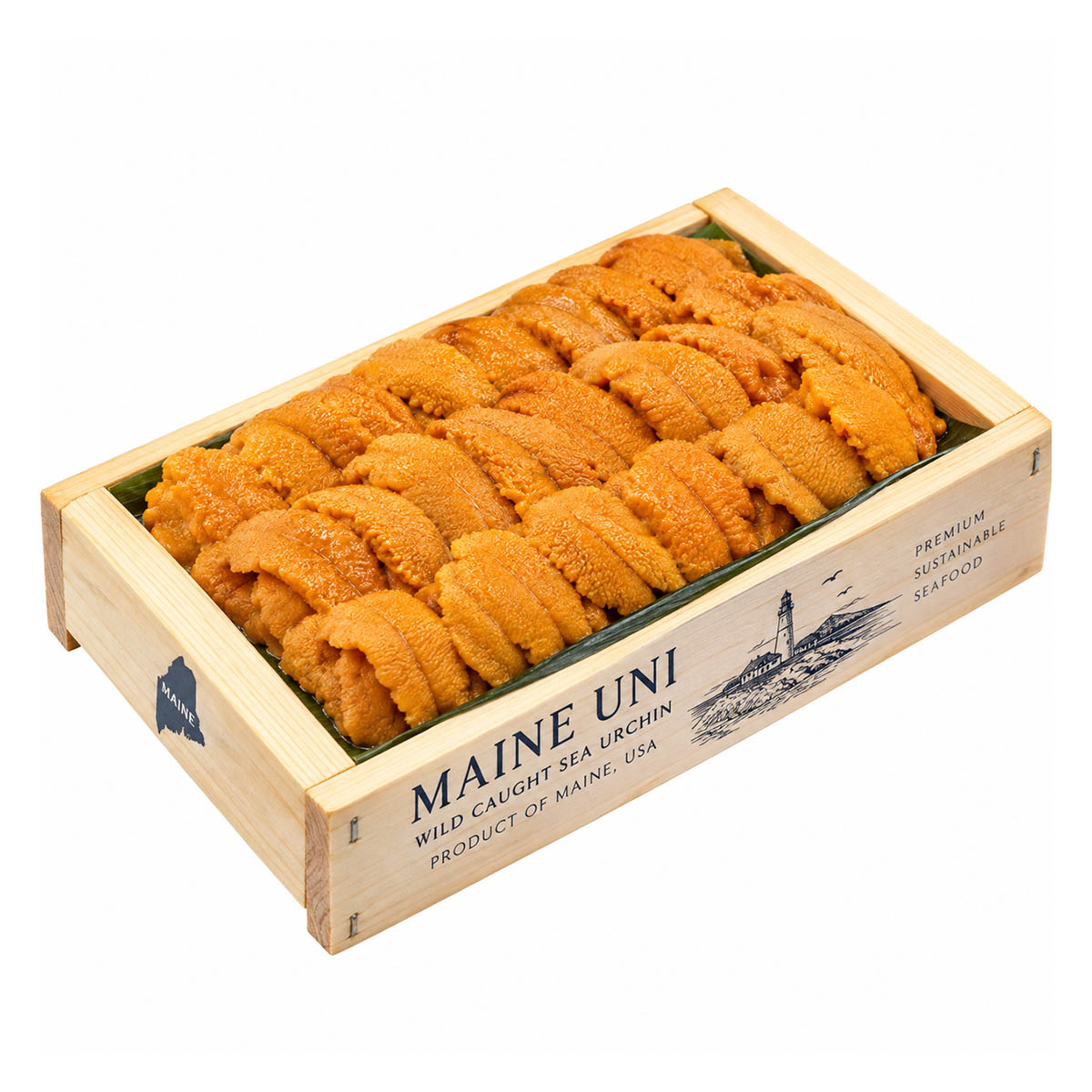 Maine Uni(Sea Urchin Roe)