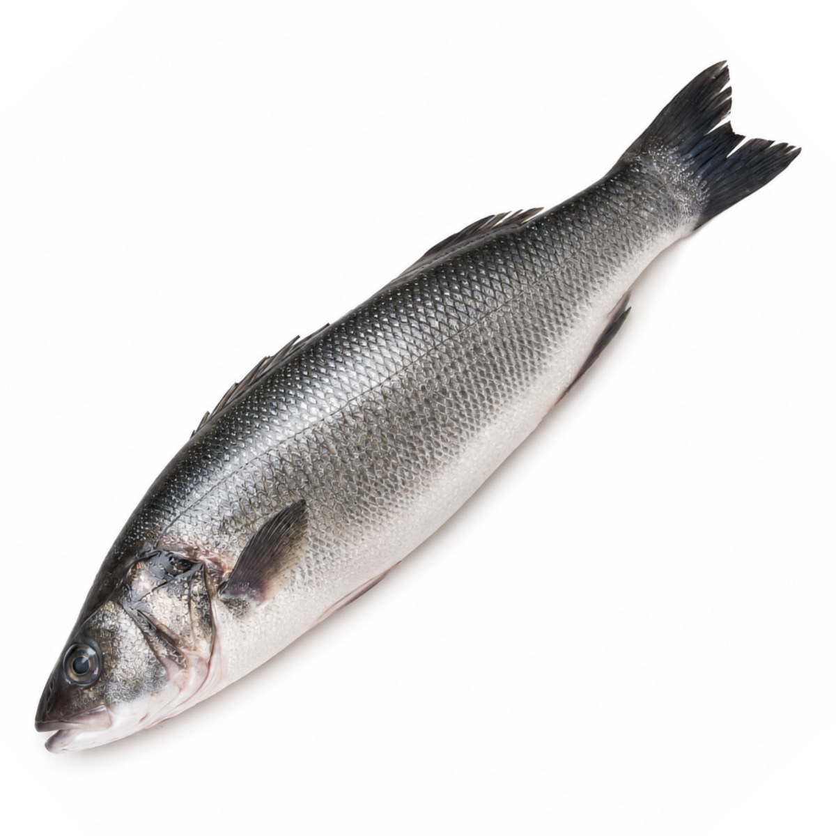 Whole Chilean Sea Bass