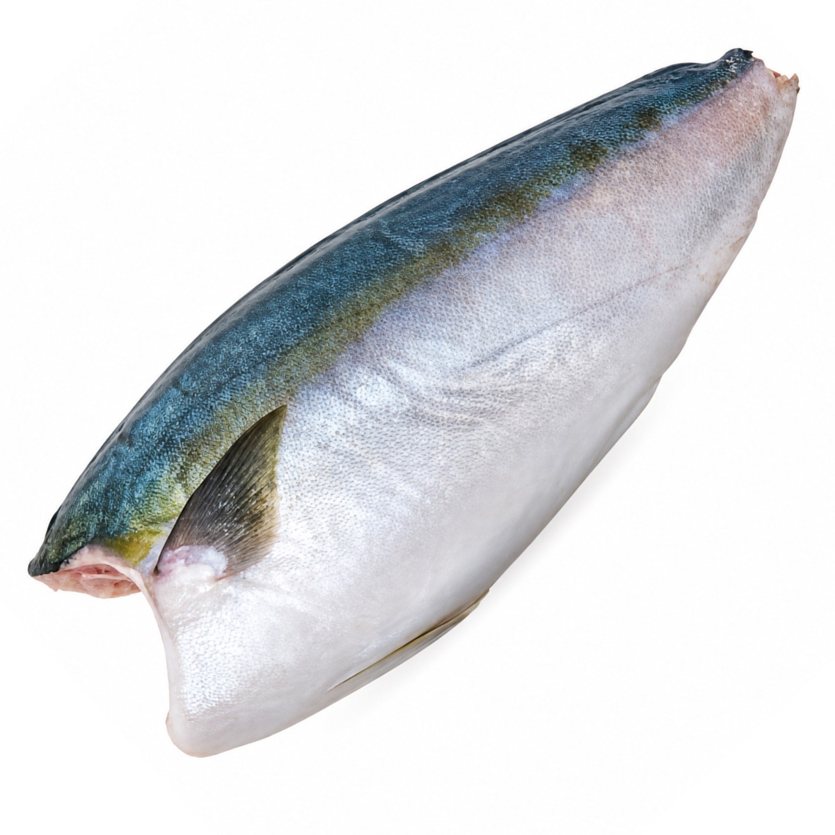 Fresh Hamachi Whole (With out head)