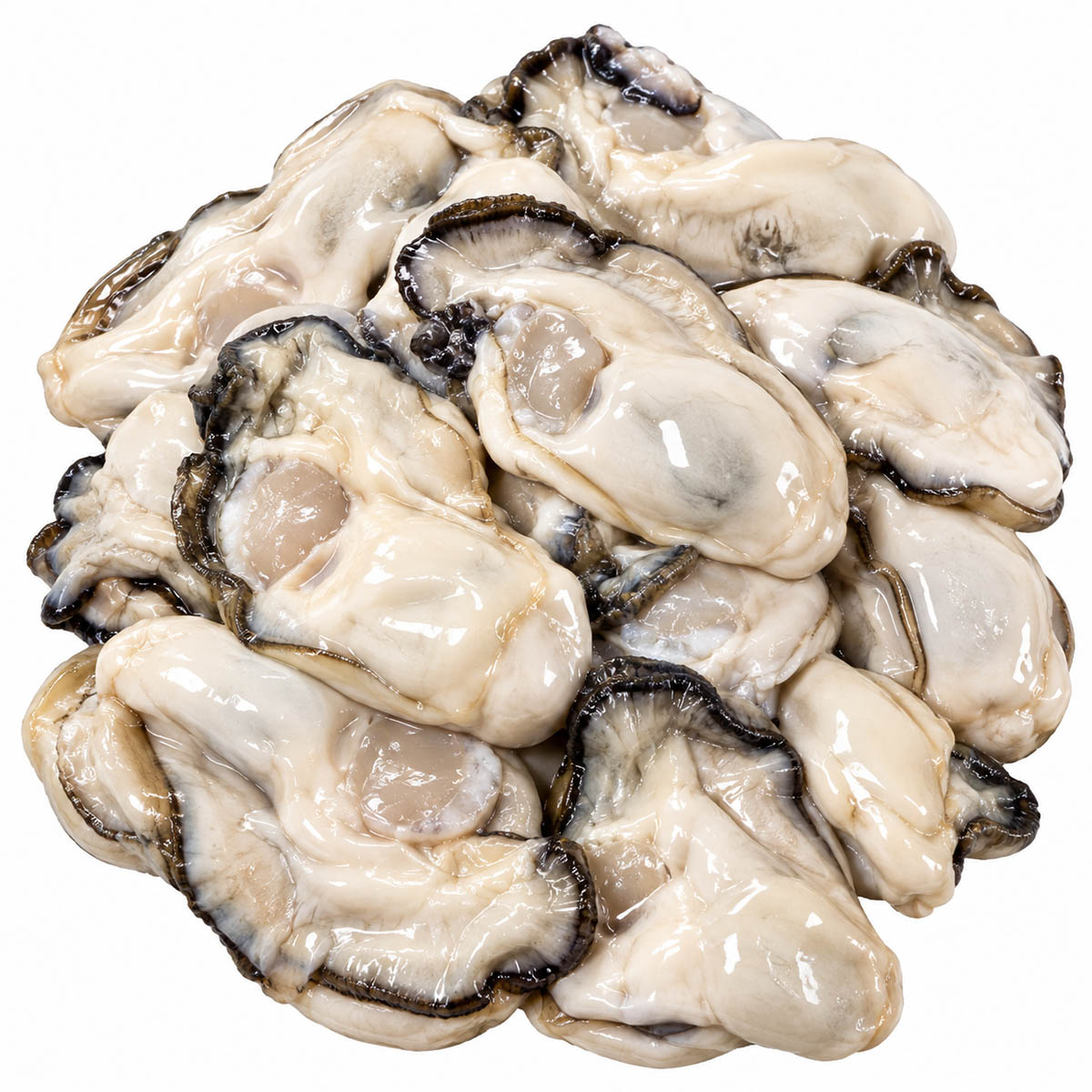 Oyster Meat