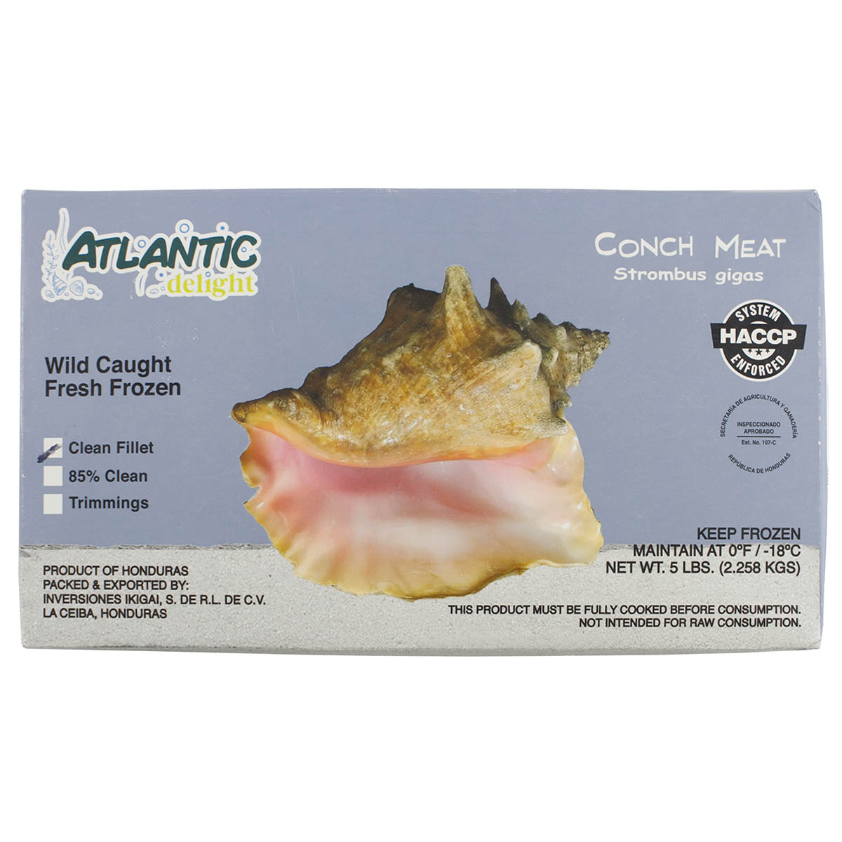 Conch (White) For Sushi