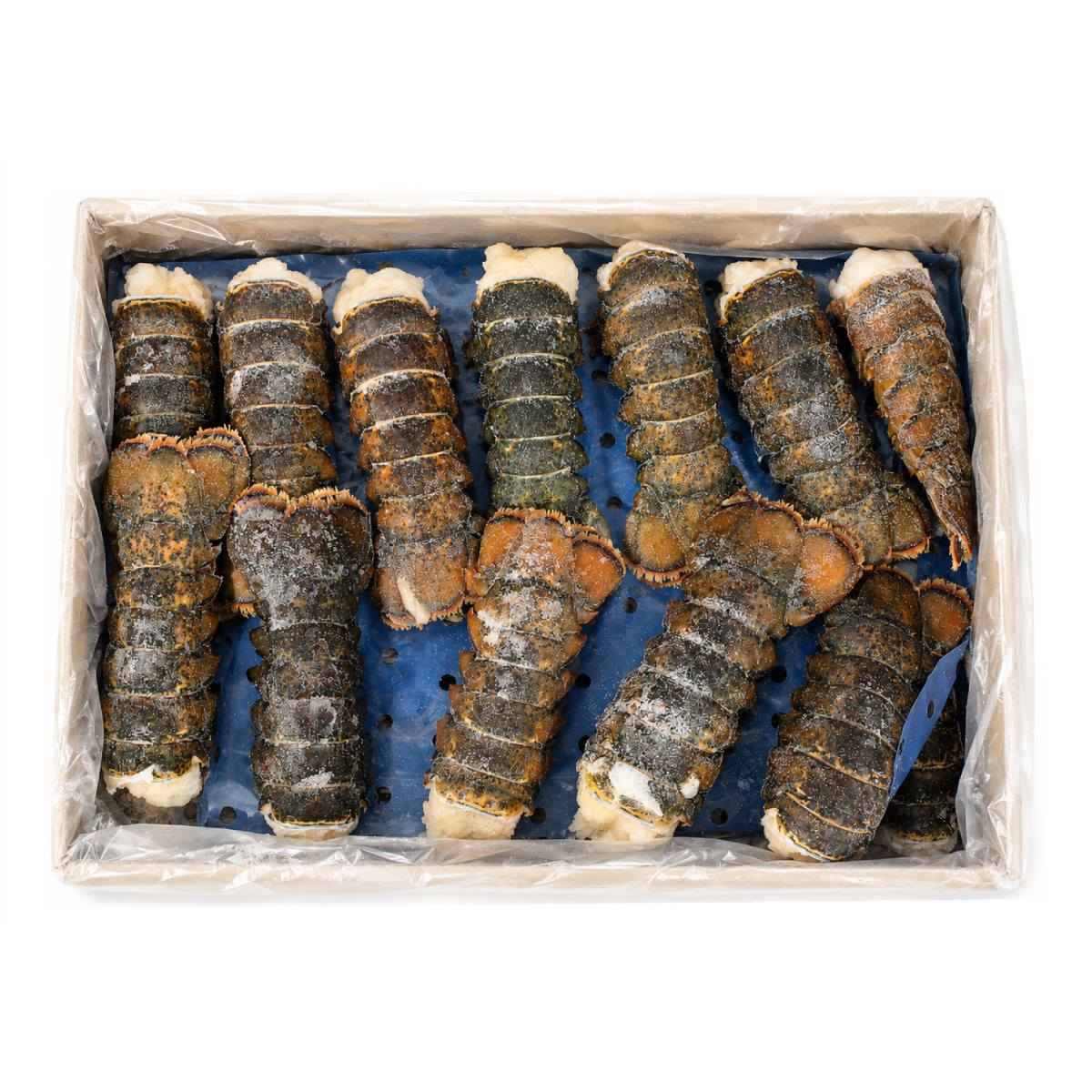 Coldwater Lobster Tail (5/6oz)