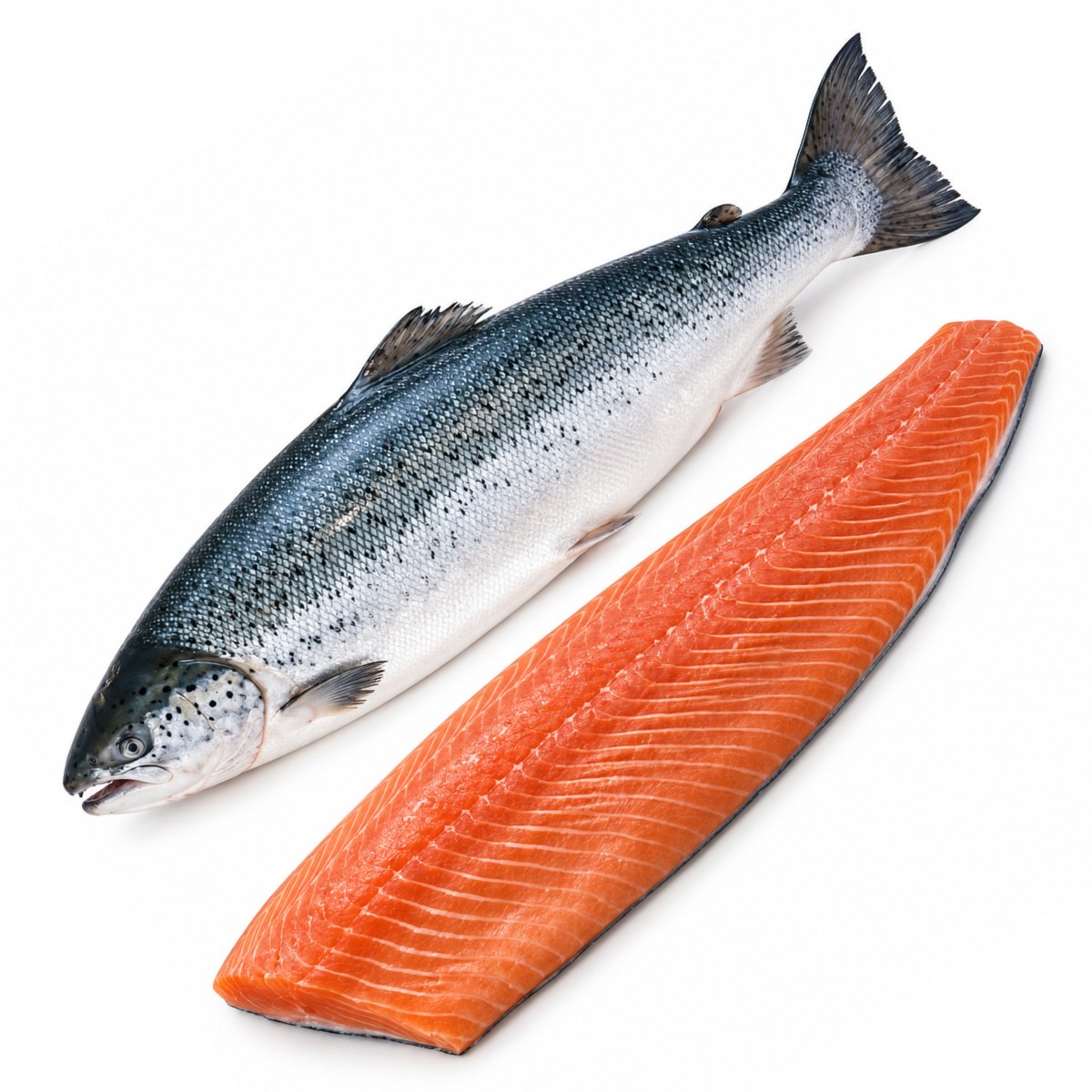 Faroe Island Salmon [Bakka] (Farm Raised)